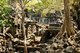 Cambodia: The ruins of Beng Mealea (12th century Khmer temple), 40km east of the main group of temples at Angkor